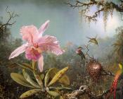 Cattelya Orchid and Three Brazilian Hummingbirds - 马丁·约翰逊·赫德
